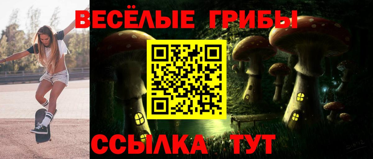 Галлюциногенные грибы GOLDEN TEACHER Калач-на-Дону